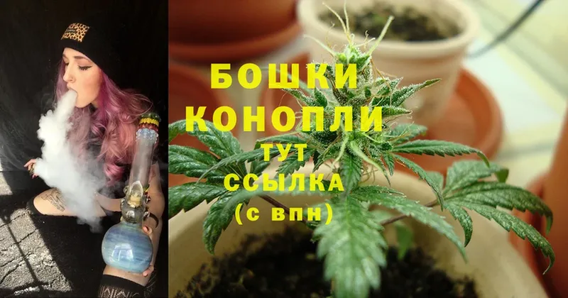 Шишки марихуана Bruce Banner  omg сайт  Котельниково 